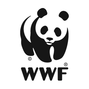 11. WWF Colombia